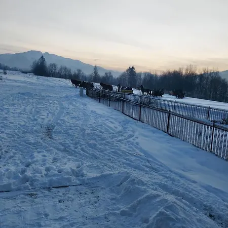 Domek Zakopane Tatrzanski Kacik Z Widokiem Na Gory Alpehytte *
